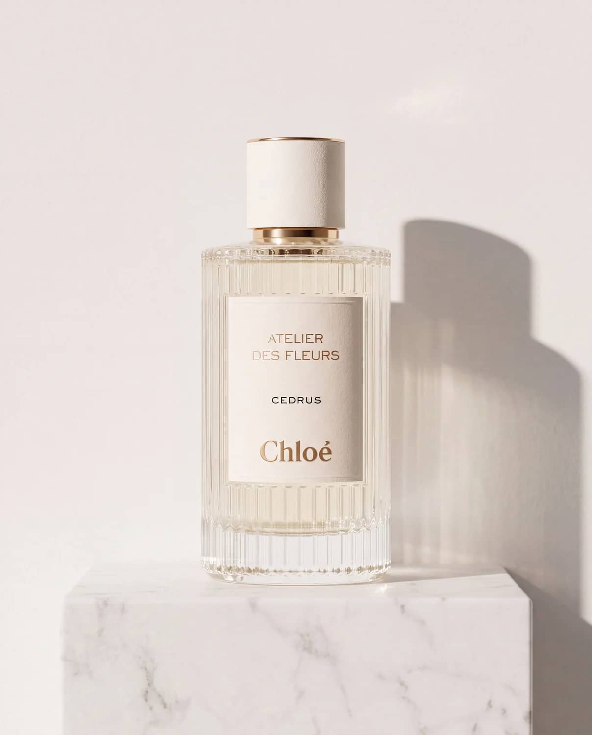 Atelier des Fleurs Cedrus by Chloé - Marble Collection 2026 Fragrance