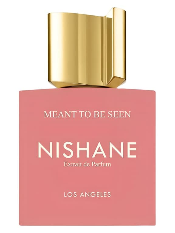 Nishane Meant To Be Seen Nishane perfume bottle - luxury fragrance