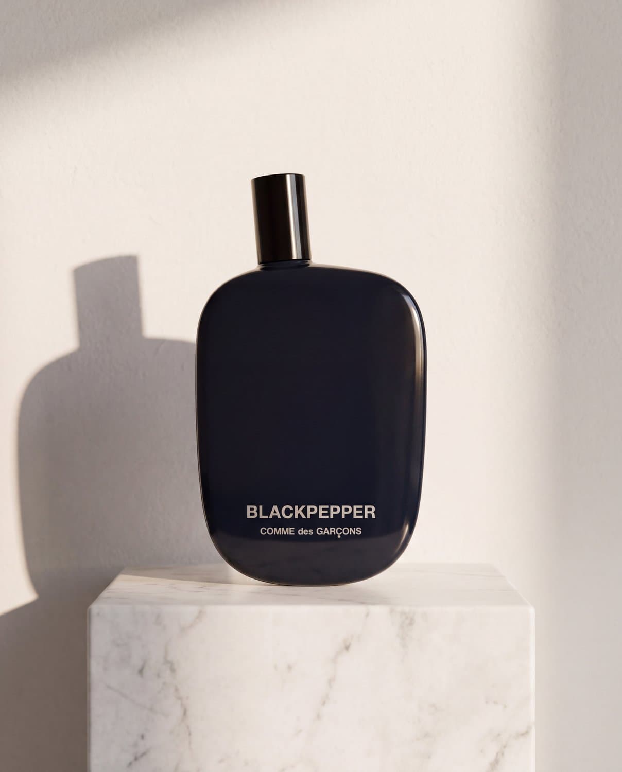 Comme des Garçons Blackpepper - gift presentation