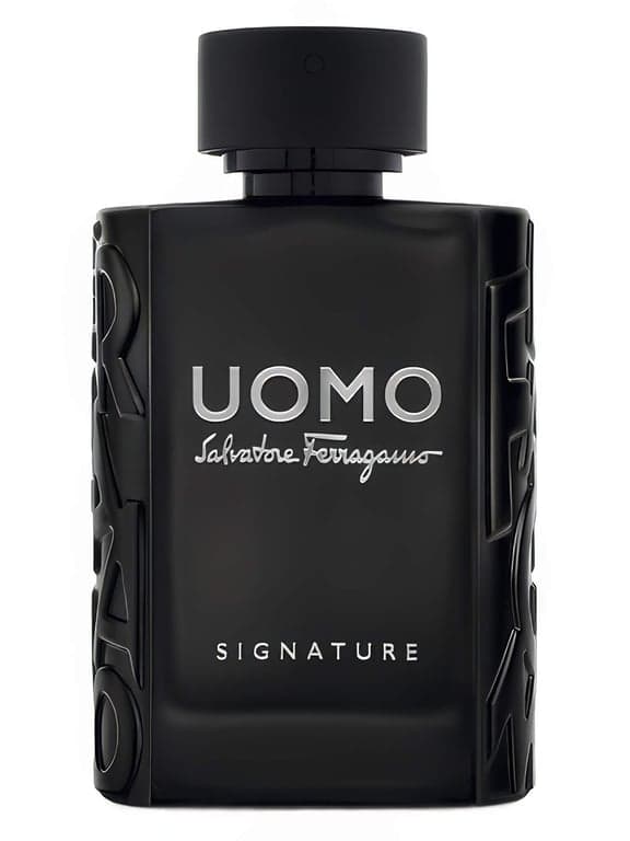 Salvatore Ferragamo Uomo Salvatore Ferragamo Signature perfume bottle – blurred decorative background