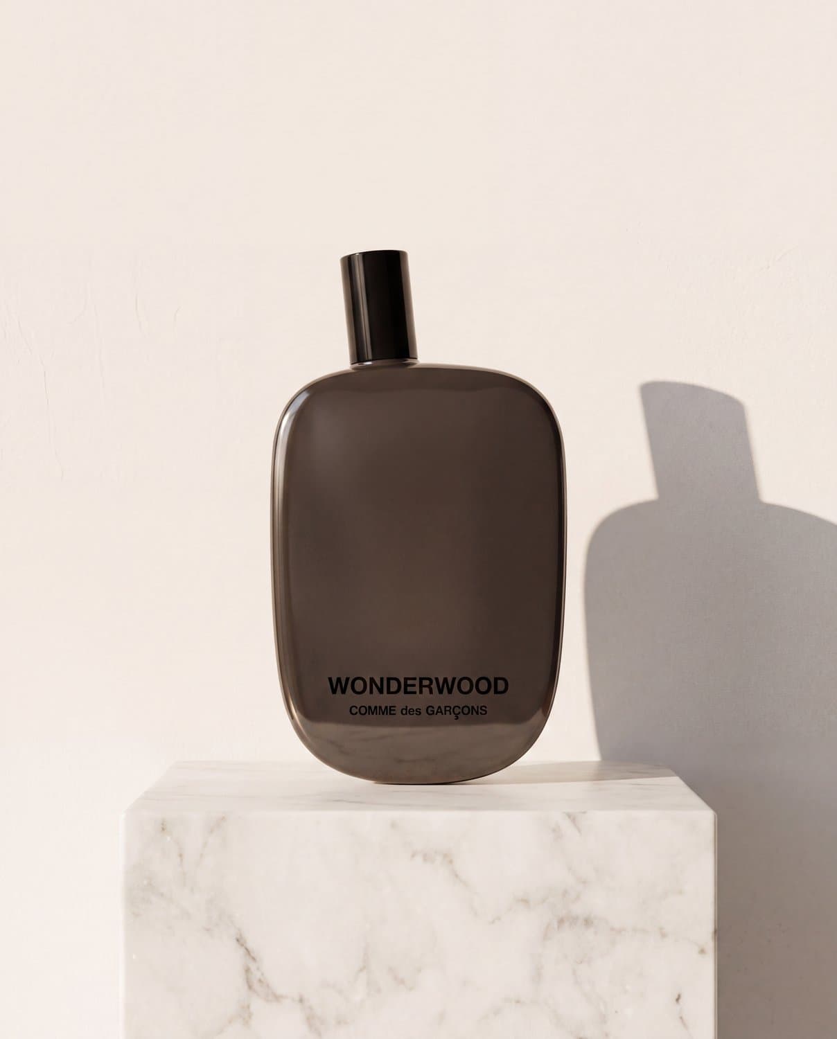 Comme des Garçons Wonderwood - gift presentation