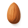 Almond