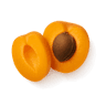 Apricot