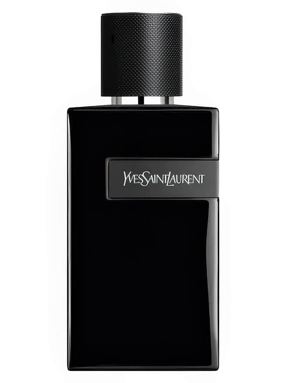 Yves Saint Laurent Y Le Parfum perfume bottle – blurred decorative background
