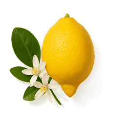 Calabrian Bergamot