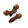 Clove