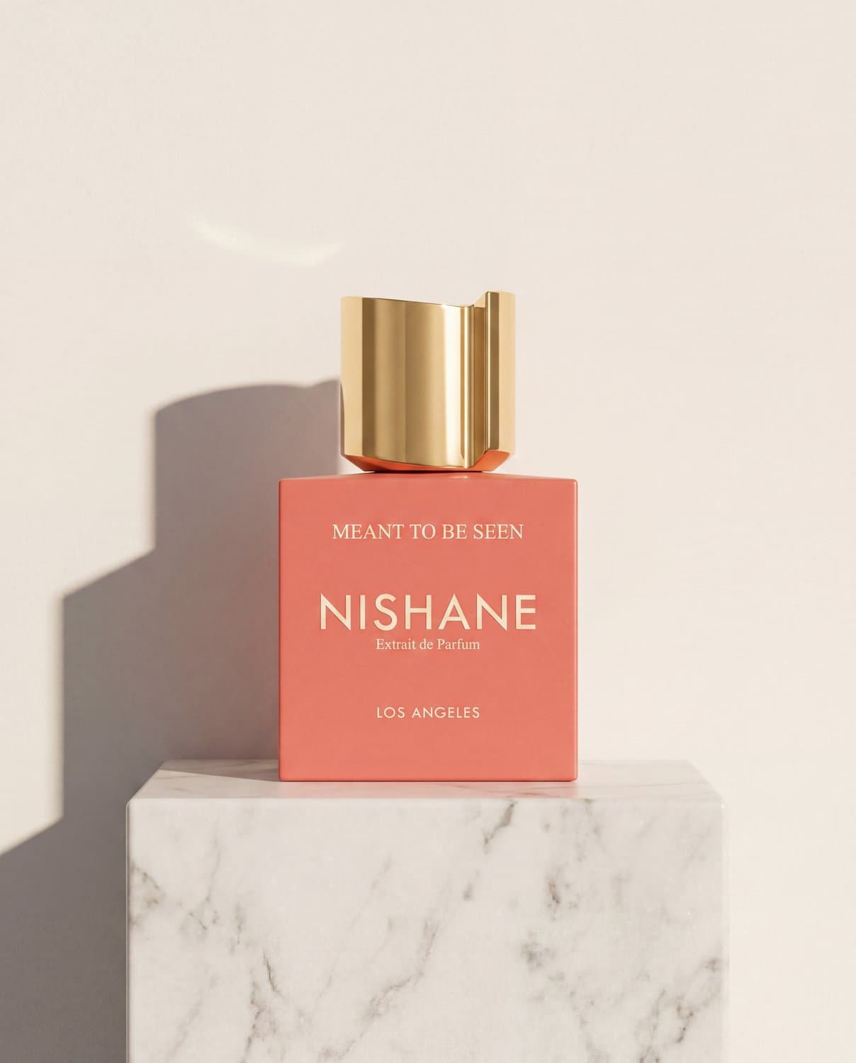 Nishane Meant To Be Seen - gift presentation