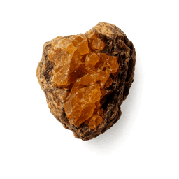 Elemi resin fragrance note