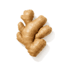 Ginger