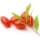 Goji Berries fragrance note