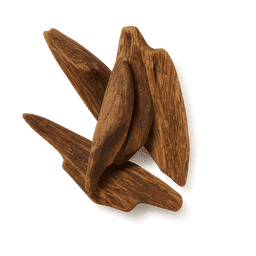 Laotian Oud fragrance note