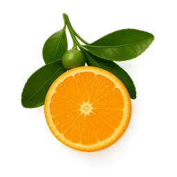 Mandarin Orange