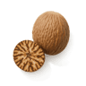 Nutmeg