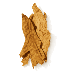Tobacco Leaf