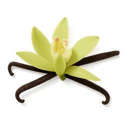 Vanilla Flower