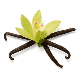 Vanilla Pod fragrance note