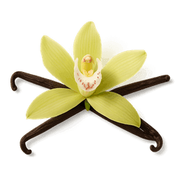 Vanille fragrance note