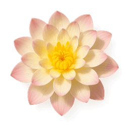 Water Lily fragrance note