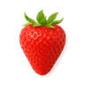 Wild Strawberry