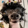 extrabork profile picture