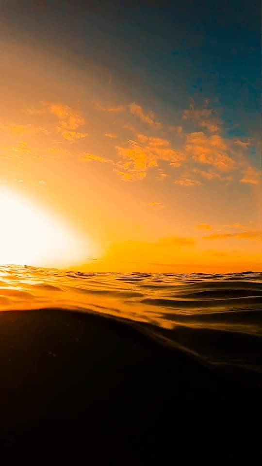 Afternoon swim during sunset 😍🔥💛.... #sunset #ocean #water #australia #relaxingvideos #relax #mood #vibe #tiktokaustralia