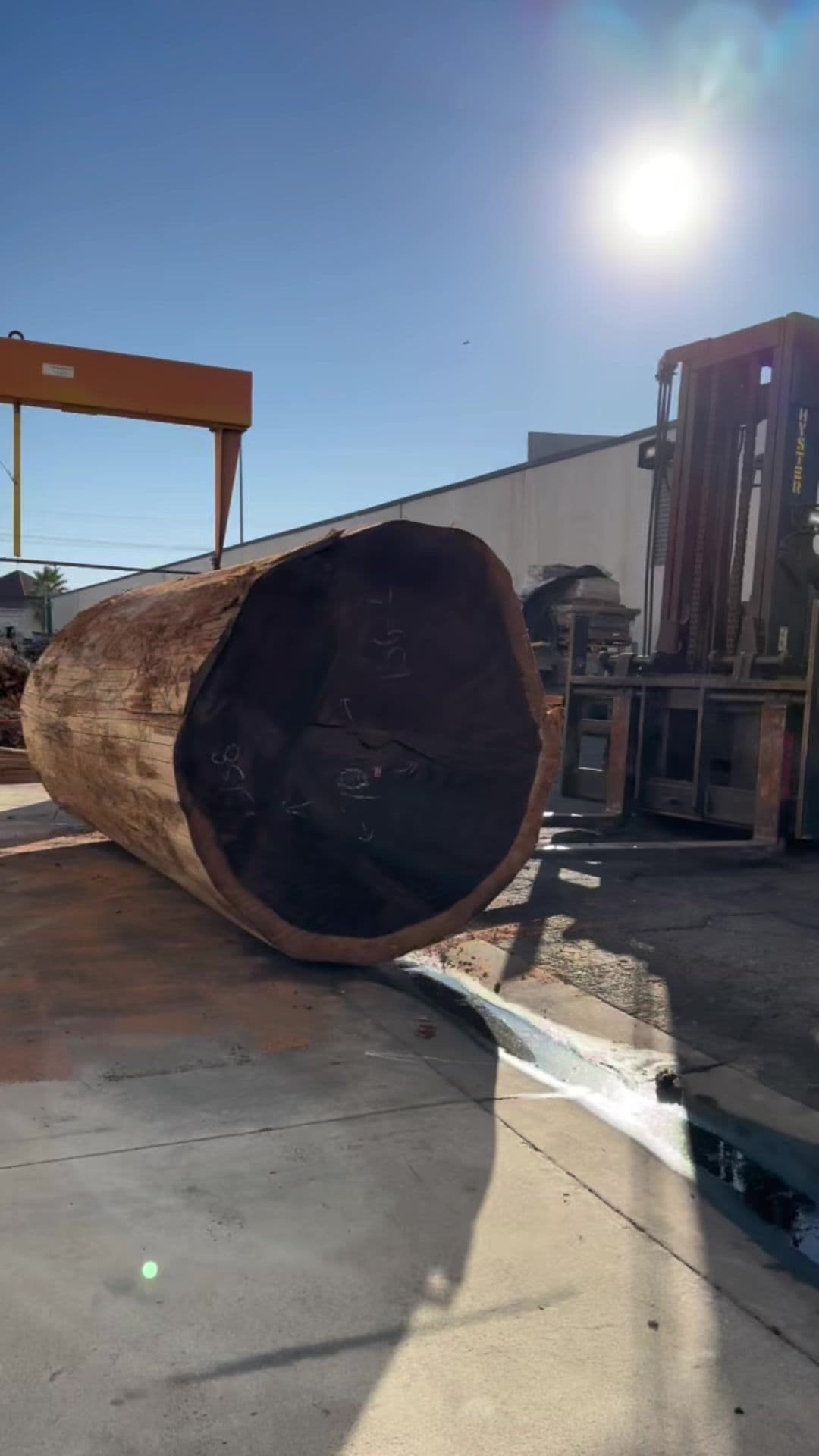 Yesterday was a good day - We milled a giant redwood log which yielded some amazing slabs. #liveedgeslab #woodworking #liveedgetable 