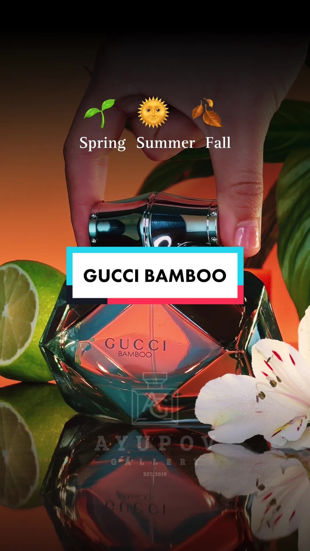 Gucci Bamboo #fpyシ #foryou #foryoupage #ayupovgallery 