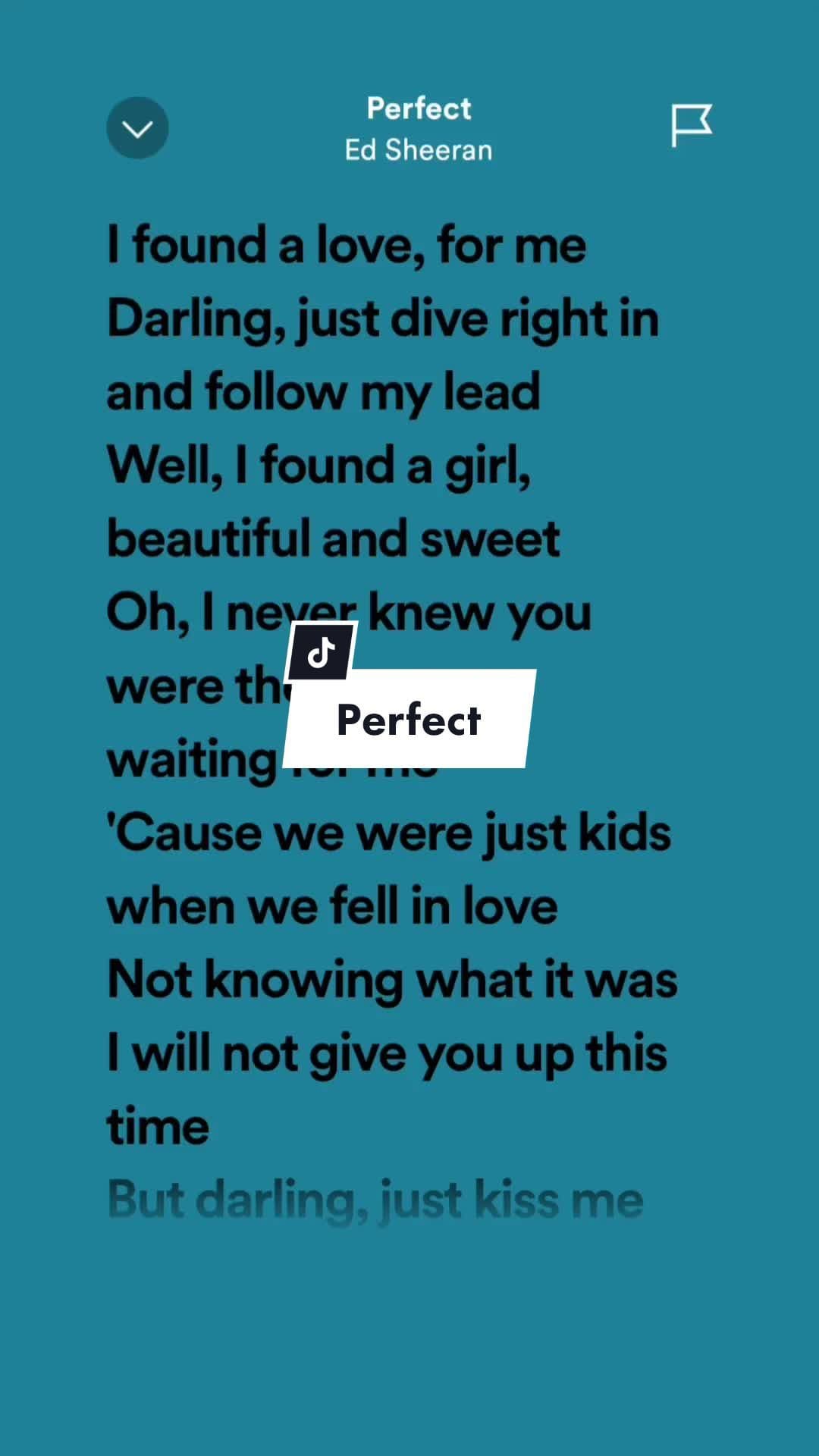 Perfect! #edsheeran #foryou #leohernandezlyrics_ #tiktok #perfect #perfectedsheeran #songlyrics #musicvideo #chill #musiclyrics #fyp #fypシ#viral  #fypage #aesthetic #trending #tiktokph 
