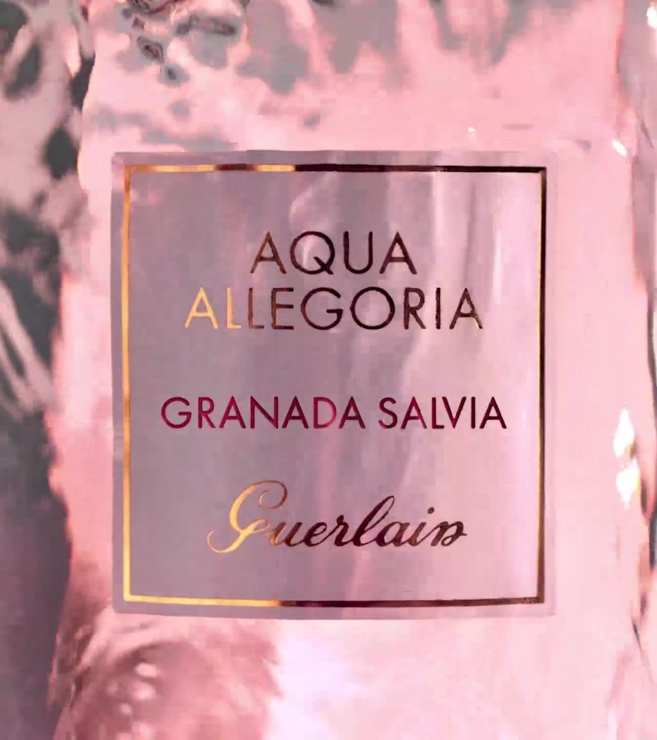 A fresh, unisex fragrance inviting you to a sensory escape under the shade of the bergamot trees in Calabria with notes of bergamot, petitgrain lemon, and fresh spices. #aquaallegoria #perfume #kenya #fragrance #allurecollection #allure 