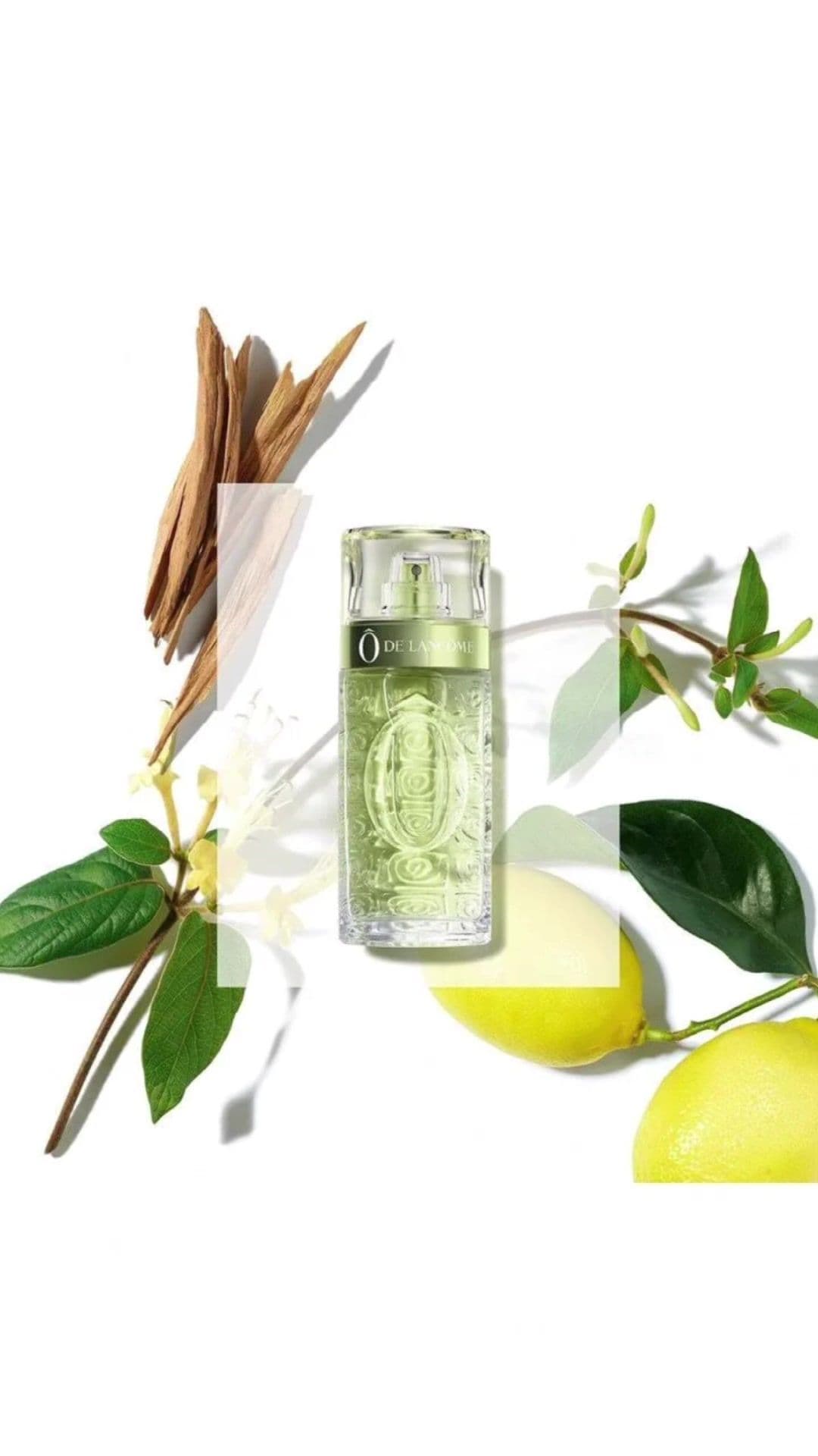 Ô de Lancôme de Lancôme é um perfume Cítrico Feminino. Ô de Lancôme foi lançada em 1969. O perfumista que assina esta fragrância é Robert Gonnon. As notas de topo são: Limão, Bergamota, Madressilva e Mandarina. As notas de coração são: Manjericão, Alecrim, Coentro e Jasmim. As notas de fundo são: Musgo de Carvalho, Vetiver e Sândalo. o perfume mais fresco é perfeito que já senti. R$499,00  desconto de 5% no pix 125 ml 67 999555522 