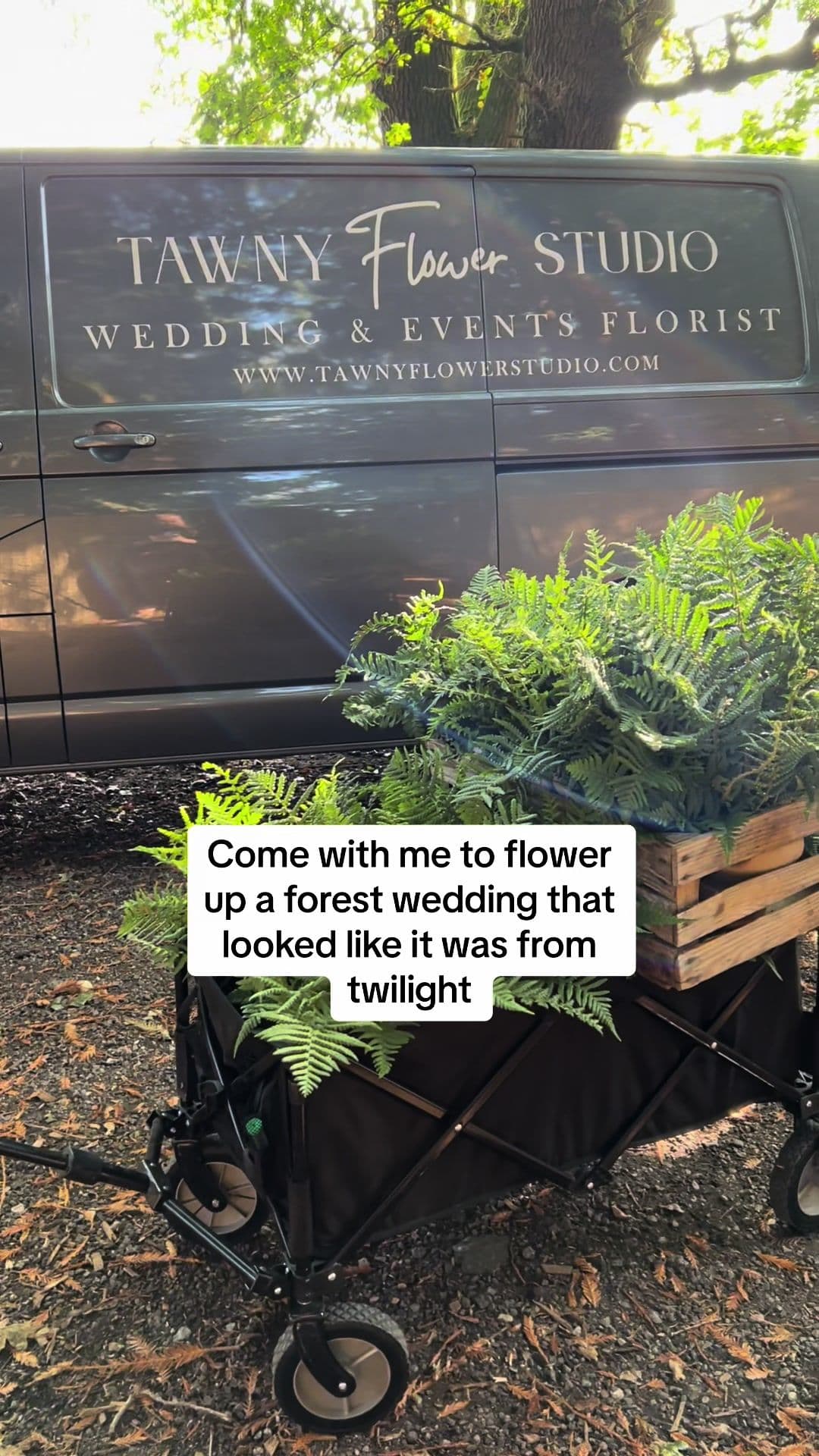 Always feel like Twilight when im at Two Woods wedding venue #twilight #twilighttiktok #twilightwedding #twilightforest #floristoftiktok 