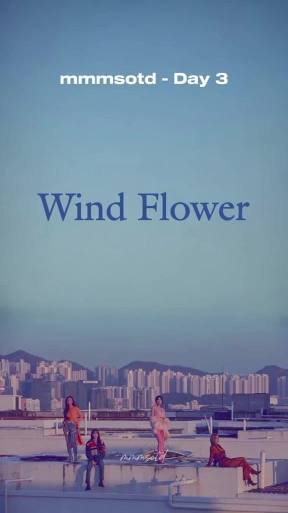 °Mamamoo Song Of The Day - Wind Flower . . Wind flower is a special song for me, it was there when I was in my worst. But like they say, it gets better day by day :) . . follow @mmmsotd for more of this . . #mamamoo #마마무 #moomoo #무무 #jungwheein #ahnhyejin #kimyongsun #moonbyulyi #wheein #hwasa #solar #moonbyul #휘인 #화사 #솔라 #문별 #moonsun #wheesa #mamamooedit #ot4mamamoo #마마무문별 #마마무솔라 #마마무화사 #마마무휘인 #kpop #mmmsotd #windflower #blues @mamamoo_official @MOONBYUL @whee_inthemood 
