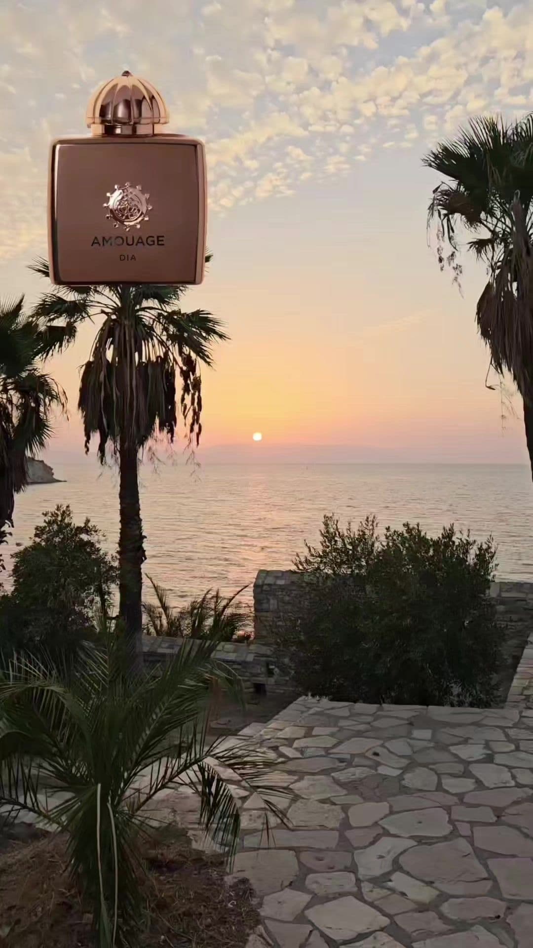 Dia Woman VS Dia 40 Woman by @AMOUAGE  Review is up on my YouTube channel, link in bio.  #amouage #amouagediawoman #amouagedia40 #nichefragrances #nicheperfumery #ssdfragrances #mrcologne76 #classicfragragrances #fraghead #fragcomm #fragcommunity #fragrances #fragrancereviews #fragrancecomparison #extrait 