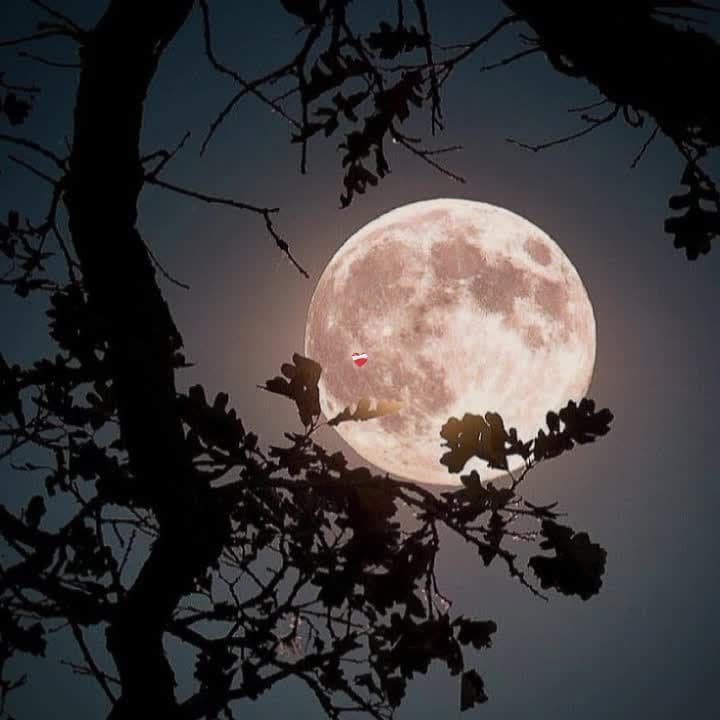 the moon is beautiful #moon #🌕 