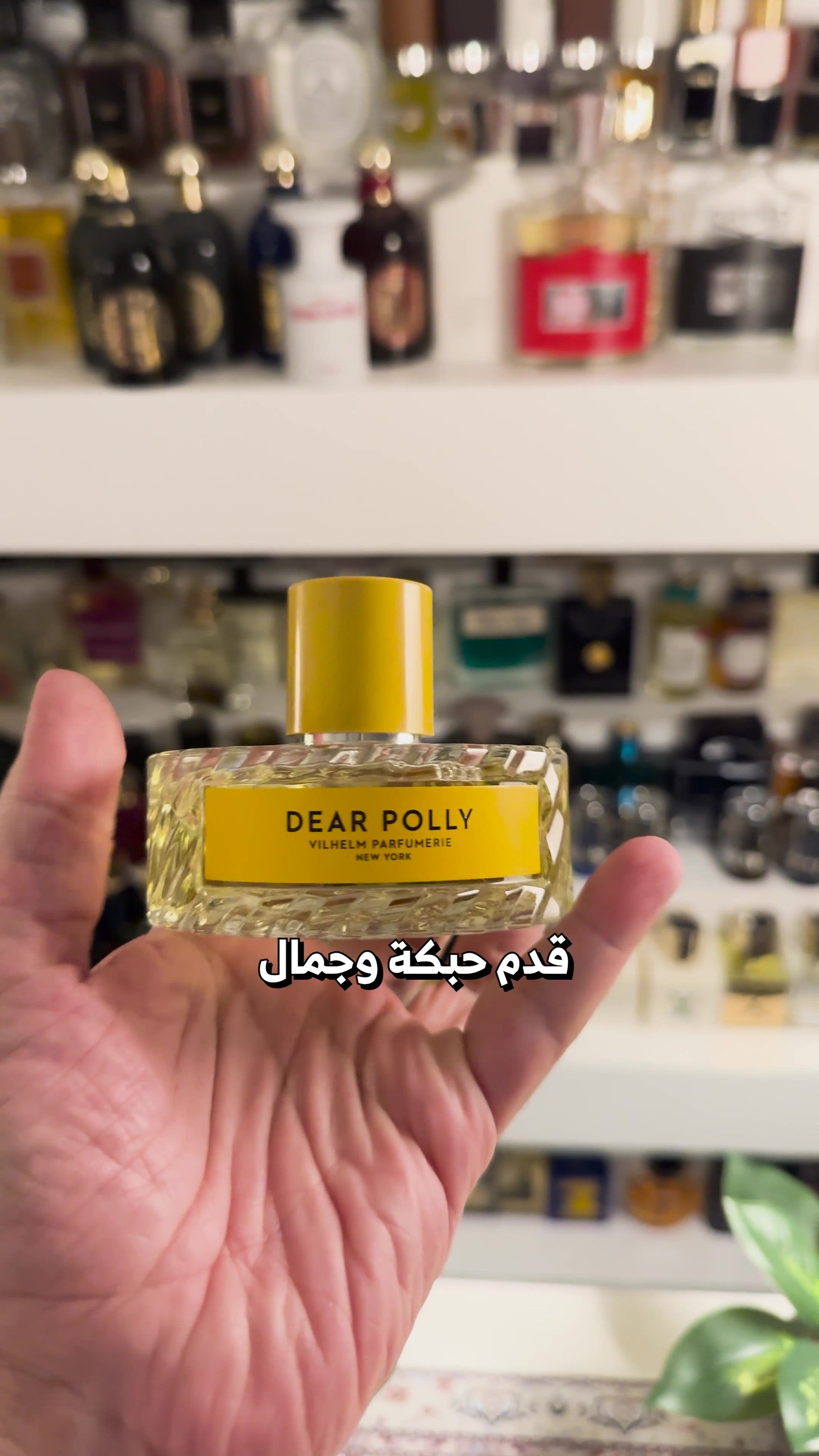 عطر دير بولي من فيلهام الامريكية  #عطر #عطر _شاي #عطور #زياد_النادر #عطر_جذاب #عطور_فخمة #عطر_فخم #عطرك #عطر_رجالي #عطر_نسائي #انتعاش 