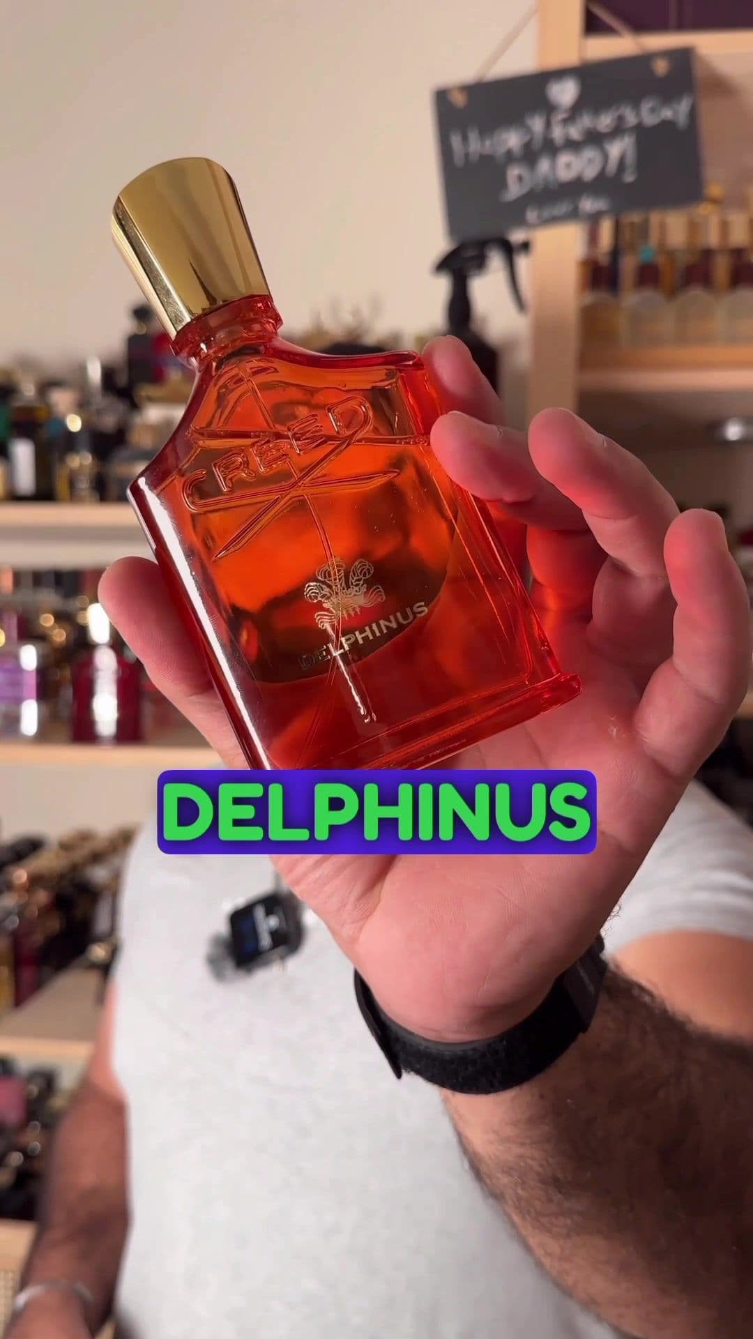 Before you buy the new Creed, Delphinus! قبل ما تشتروا العطر الجديد من كريد، ديلفينوس.  @Niche Gallery Perfumes KAMAL 🤝 #kamalspwc_review #kamalspwc #creeddelphinus #delphinus #creed #perfume #fragrance #perfumecollection #fragrancelover