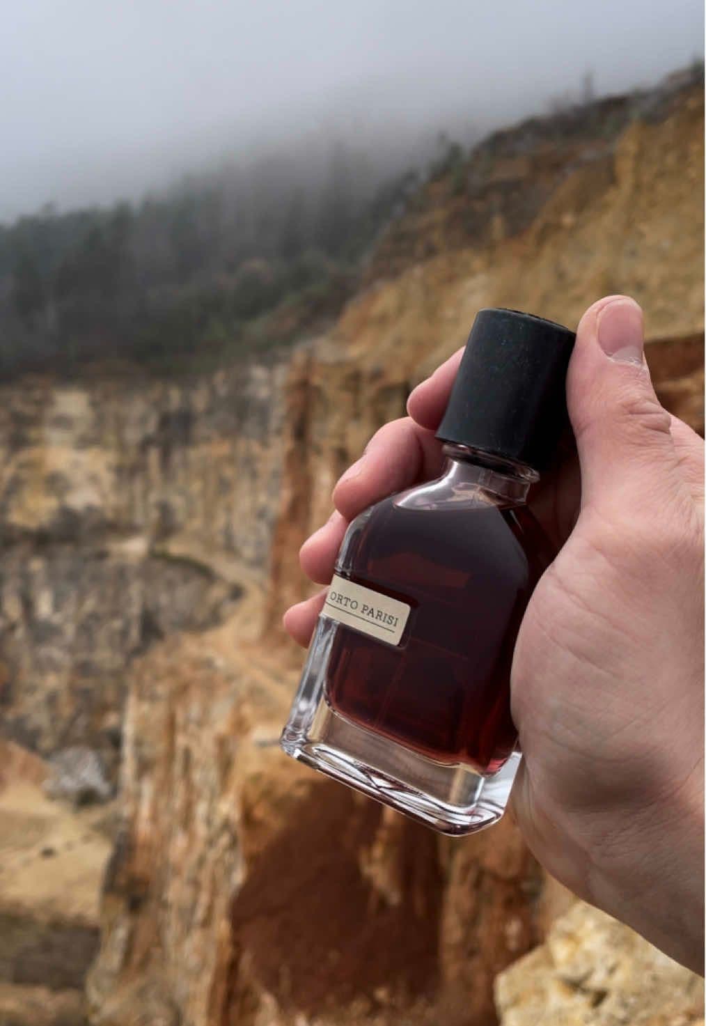 TikTok by @in.scented