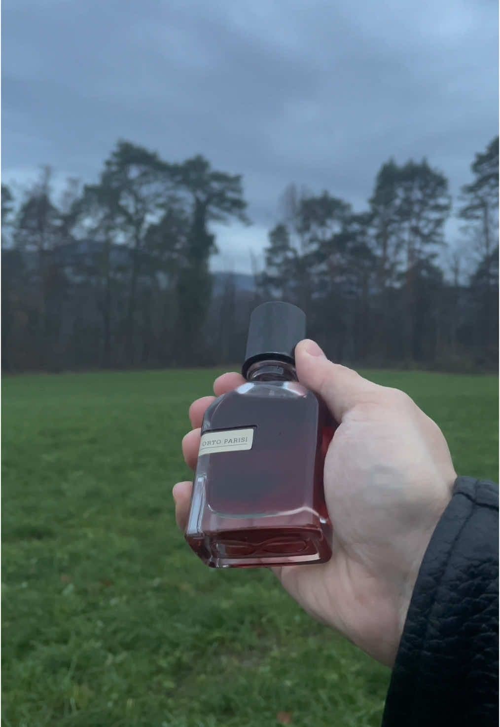 Perfume in the Fog 🌬️ #forest #parfum #darkforest #ortoparisi #ortoparisiterroni 