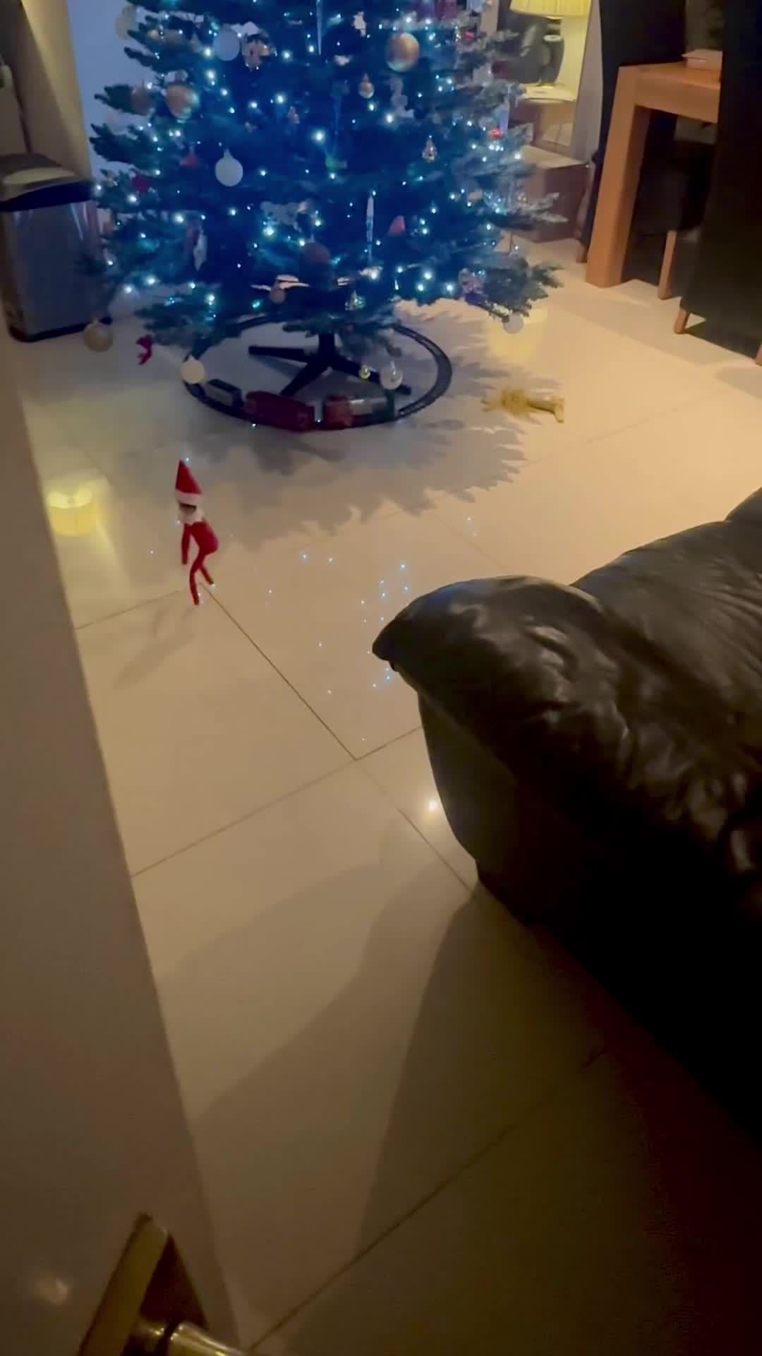 #elfontheshelf #elf #elves #christmas #magic #foryou #foryoupage #fyp