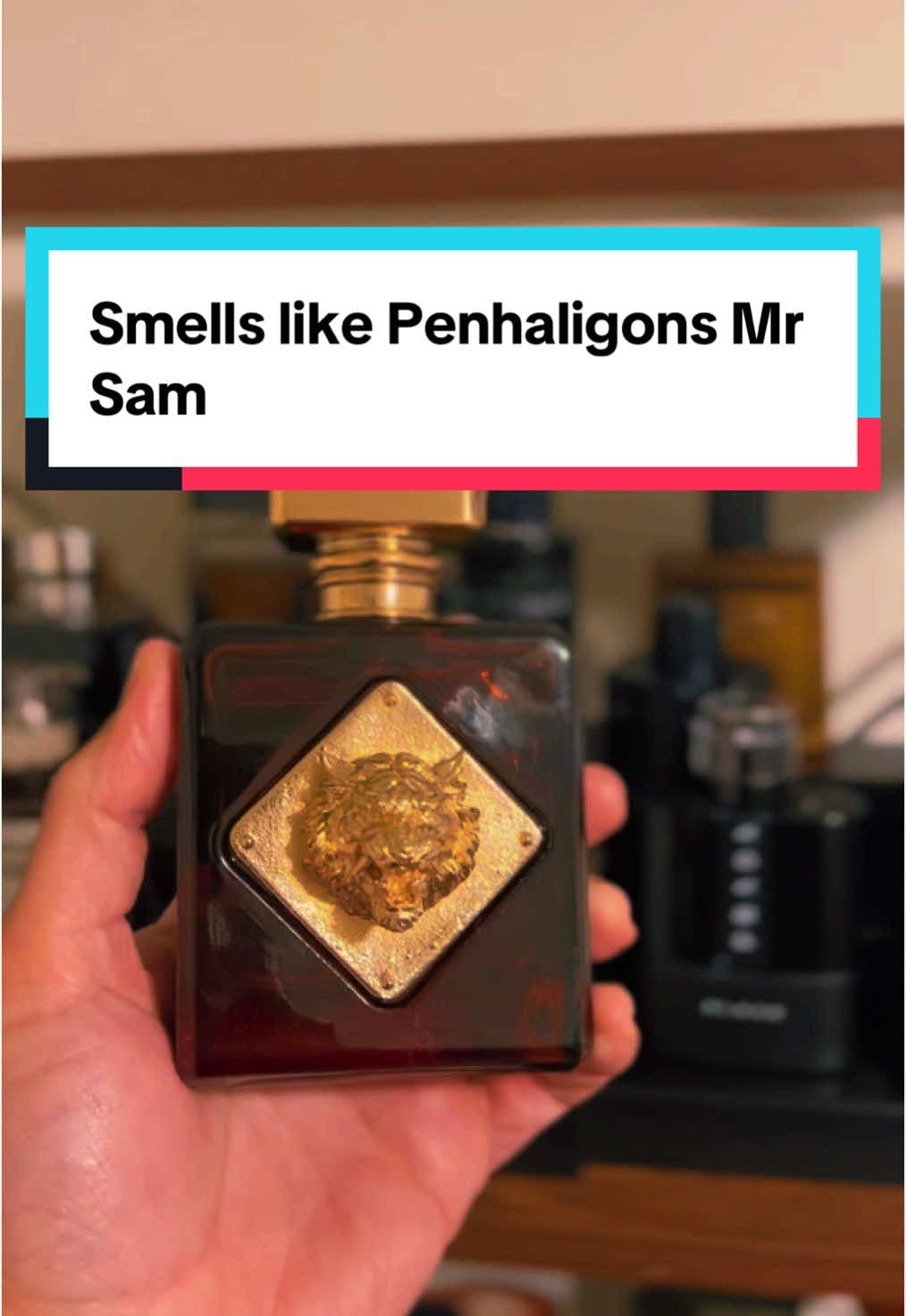 Apex smells like Mr. Sam 🤝 #CologneRecommendations #FragranceCollection #FragranceForMen #MensCologne #ScentOfTheDay #fragrancereview #perfumetiktok #colognereview #BestCologne #DateNightVibes #LuxuryFragrance #FragranceLover #howmanysprays #jeremyfragrance #DateNightFragrance #cologne #fragrance #colognecollection #apexfragranceworld