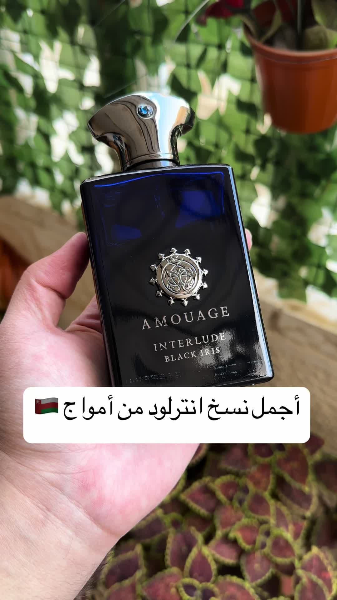 ‏Interlude Black Iris Amouage أجمل نسخ انترلود على الاطلاق ، ما استخدمته لمناسبه الا سؤلت عنه🔥 #العلاونه_للعطور #perfume #الاردن #fragrance #fyp #السعوديه #عطور #عطورات #foryoupage #أكسبلور 