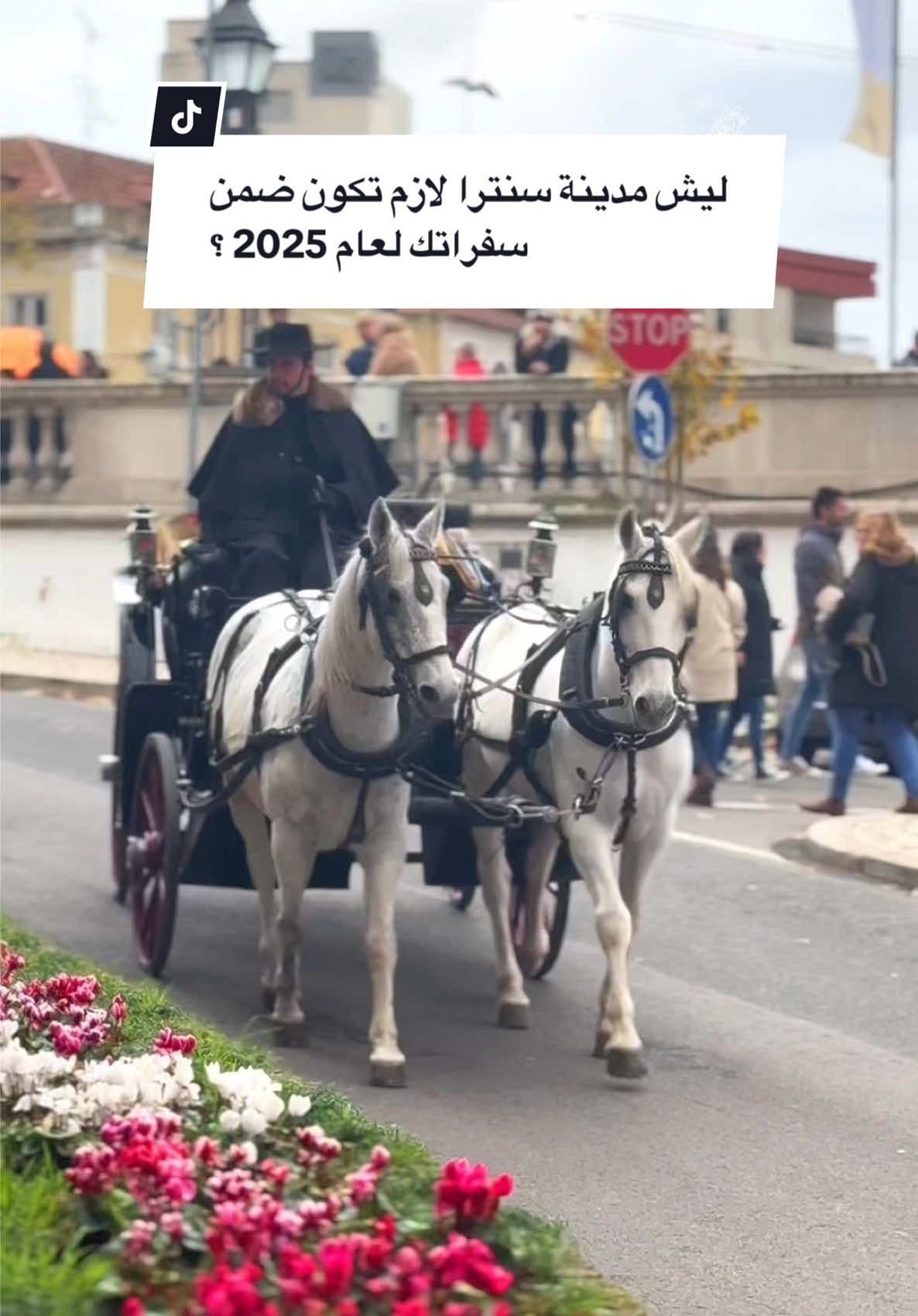 لازم تكون مدينة سنترا البرتغالية ضمن خطتكم ب 2025 إن شاء الله | شاركوا الفيديو مع حدا بتحسوا هالمدينة اجوائه ✨🧚‍♂️. #البرتغال🇵🇹 #سنترا  #sintraportugal  #مرام_حكايات_ايسلندا_والعالم 