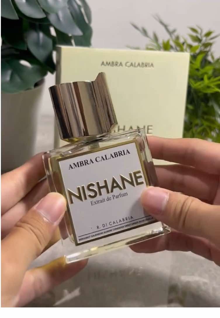 Feeling Green! 🍃 - Yes, Nishane Ambra Calabria kerasa sangat hijau dedauanan banget di opening nya yang bener-bener fresh cocok banget buat di pake siang-siang. And then, it dries down into ambery dan vanilla dimama di belakang nya masih kerasa aroma dedaunannya. Perform long lasting all day di baju, tapi untuk di kulit gua stays sekitar 8-9 jam. - Give it a try! If you are looking for something unique, then I really recommend you guys to have a sniff on this one! Have a great day semua! ☺️ - #fragrance #fragrancetiktok #fragrances #nishane #fyp #fypage #viral #nichefragrance 