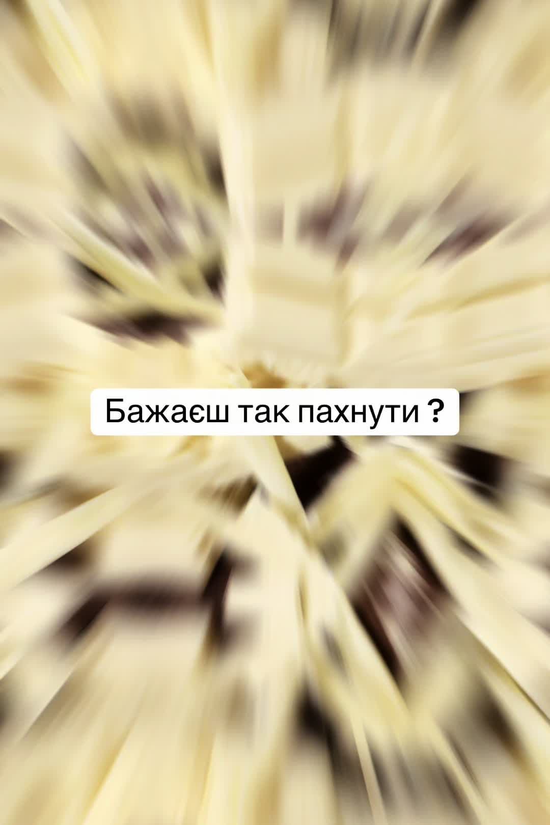 Дуже красивий та насичений аромат 🔥 Він стане вашим фаворитом у ці зимові дні. Для замовлення пишіть в особисті повідомлення 💌 #парфумиукраїна🇺🇦 #perfumetiktok #духи #tizianaterenzi #velorum 