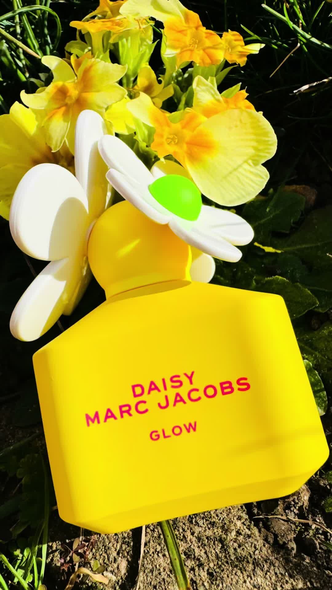 Daisy Glow Uma edição limitada de Eau de Toilette, em um deslumbrante tom de amarelo neon! 💛 Apesar do frasco amarelo, este é, literalmente, um perfume de violetas. 💜 Violetas verdes com um toque de doçura. Não tem grande fixação. Cheira à promessa da primavera no interminável inverno inglês. 🌸 Baseado na minha experiência pessoal após uma semana de uso durante o inverno europeu. #daisyglow #primavera #verão #spring #summer #perfumefloral #floralfragrance #limitededition #edicaolimitada 