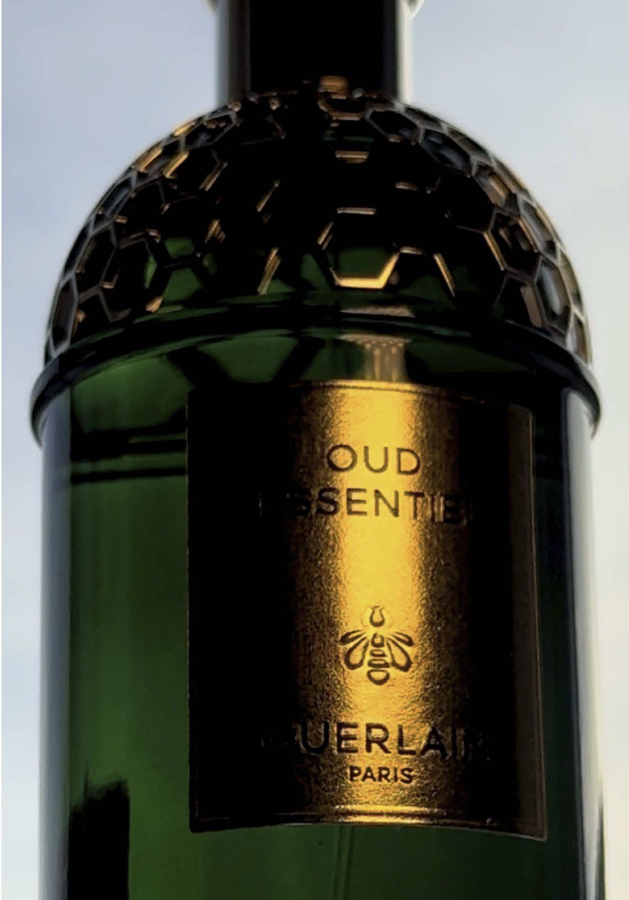 Придбав нові GUERLAIN ❤️‍🔥 Absolus Allegoria Oud Essentiel з @BROCARD #брокард #купуйоригінал #brocard #guerlain #absolusallegoria #oud #oudessentiel #parfum #menfragrances @Guerlain 