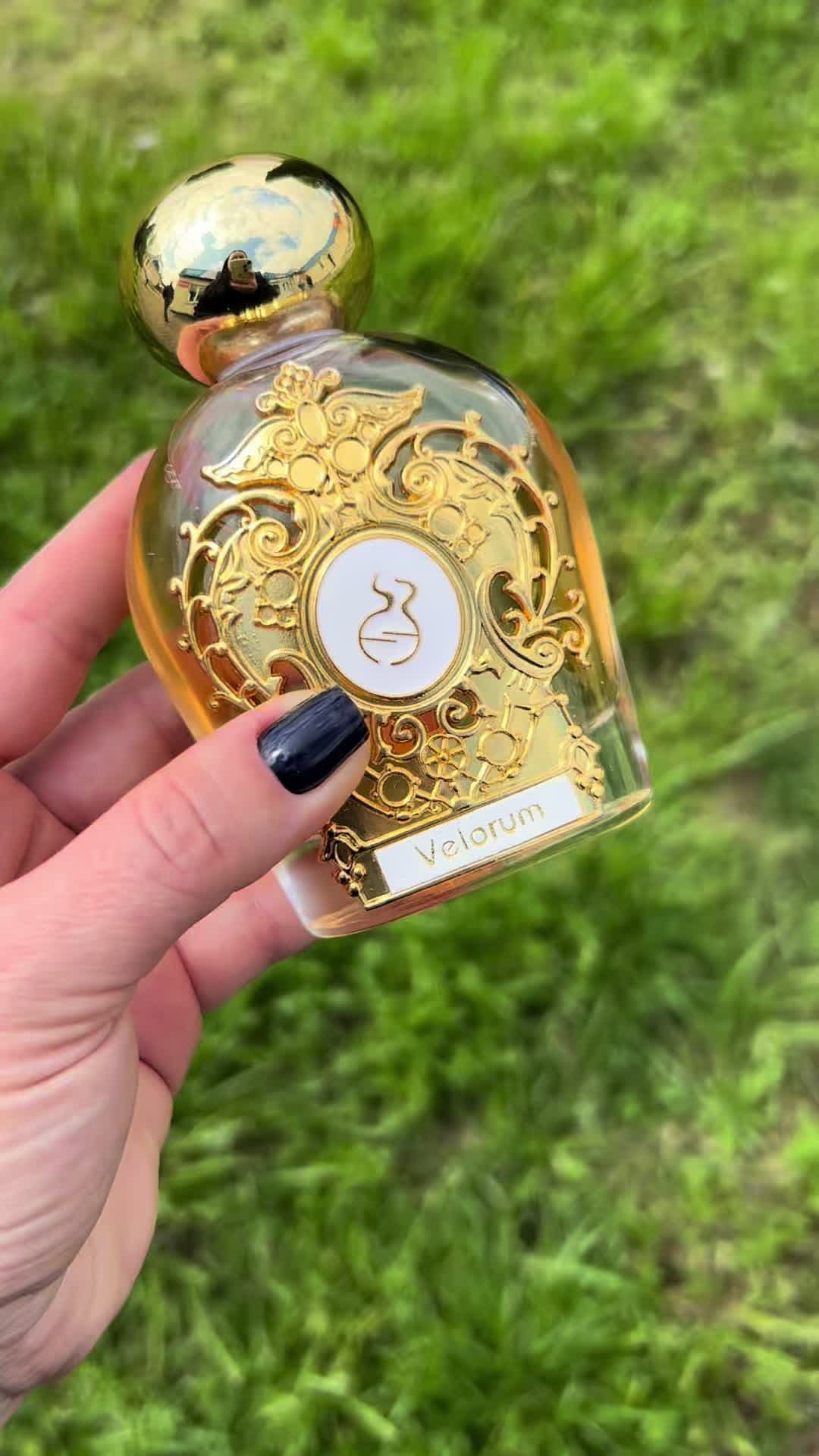 Velorum от Tiziana Terenzi — это нежный восточно-пряный универсальный унисекс-аромат с очень трогательным мускусным звучанием. Композиция Тициана Терензи Велорум приглашает вас совершить путешествие в потрясающий мир свободы, умиротворения и покоя, где не существует разочарования и тревог. В верхних нотах Velorum господствуют перец, роза, имбирь, кардамон, мандарин, шафран. Ноты сердца: гвоздика, маракуйя, миндаль, корица, лотос, мускатный орех, чай. Базовые ноты: амбра, дерево гуаяк, белый шоколад, бобы тонка, ваниль, мускус, сандаловое дерево. Создан аромат Tiziana Terenzi Velorum парфюмером Paolo Terenzi в 2017 году.