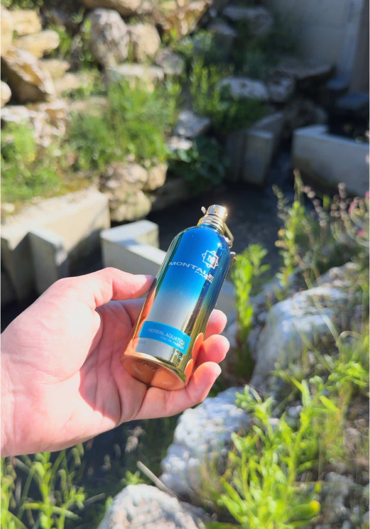 Aquatic Vibes by the River 🌊 #theblackknight #herbalaquatica #herbalaquaticamontale #montaleparfums #montale #fyp @Montale @Montale Paris US