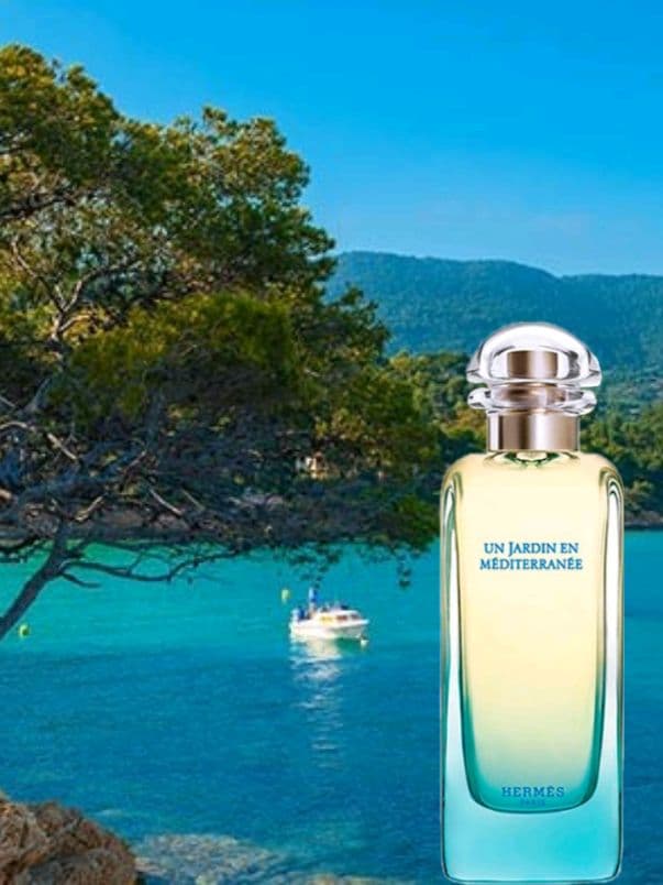 "Un Jardin en Méditeranée" la brezza tra i fichi sulle le spiaggie del mediterraneo @Hermès #hermes #fragrancetiktok #parfumtiktok #parfumviral #profumo #parfum #paris #france🇫🇷 #france 