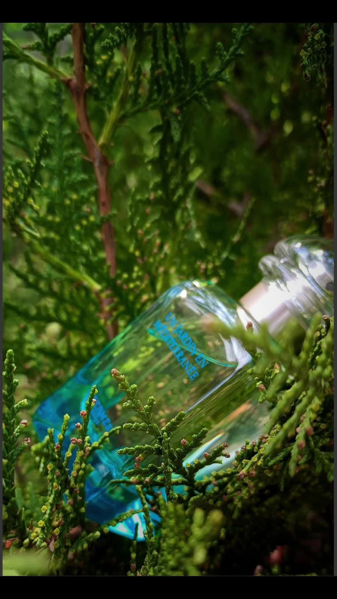 Un Jardin en Méditerranée Hermès là một mùi hương của ký ức. Nó là chương đầu tiên trong bộ sưu tập “Un Jardin” huyền thoại, một khu vườn bí mật bên bờ Địa Trung Hải. Đây là một mùi hương unisex đầy thanh lịch, một tác phẩm nghệ thuật của nhà điều hương Jean-Claude Ellena. Chuyến du hành bắt đầu với ánh nắng lấp lánh của hương cam chanh và sự xanh tươi của lá. Lớp hương này không hề sắc gắt mà rất trong trẻo, tự nhiên. Nó tựa như một con đường nhỏ dẫn vào một khu vườn riêng tư, nơi ánh sáng và bóng râm đan xen. Dần dần, bạn tiến sâu vào khu vườn, nơi hương lá sung xanh ngát và hơi ngậy tỏa ra. Đây chính là linh hồn của mùi hương, một nốt hương vừa có vị xanh của lá, lại vừa có vị ngọt của nhựa cây. Hoa cam và hoa trúc đào trắng điểm xuyết, tạo nên một tầng hương giữa vô cùng tinh tế. Và rồi, bạn tìm thấy một bóng râm dưới những tán cây bách và tuyết tùng. Lớp hương gỗ này mang đến một cảm giác rất vững chãi, khô ráo và mát mẻ. Nó không phải là một mùi hương gỗ nồng đậm, mà rất thanh thoát, cân bằng lại sự tươi mát ở trên. Un Jardin en Méditerranée là một chai nước hoa mùa hè hoàn hảo. Nó dành cho những người yêu thích vẻ đẹp tự nhiên và tinh tế. Mùi hương này giúp bạn thể hiện một phong thái lịch lãm, một gu thẩm mỹ của người có chiều sâu. Thiết kế chai với màu sắc chuyển đổi từ xanh dương sang xanh lá rất đẹp mắt. Nó thể hiện đúng tinh thần của biển và vườn cây. Chai nước hoa chính hãng này là một tác phẩm nghệ thuật. Hãy để Un Jardin en Méditerranée mở ra một khu vườn yên bình và thanh lịch cho riêng bạn.